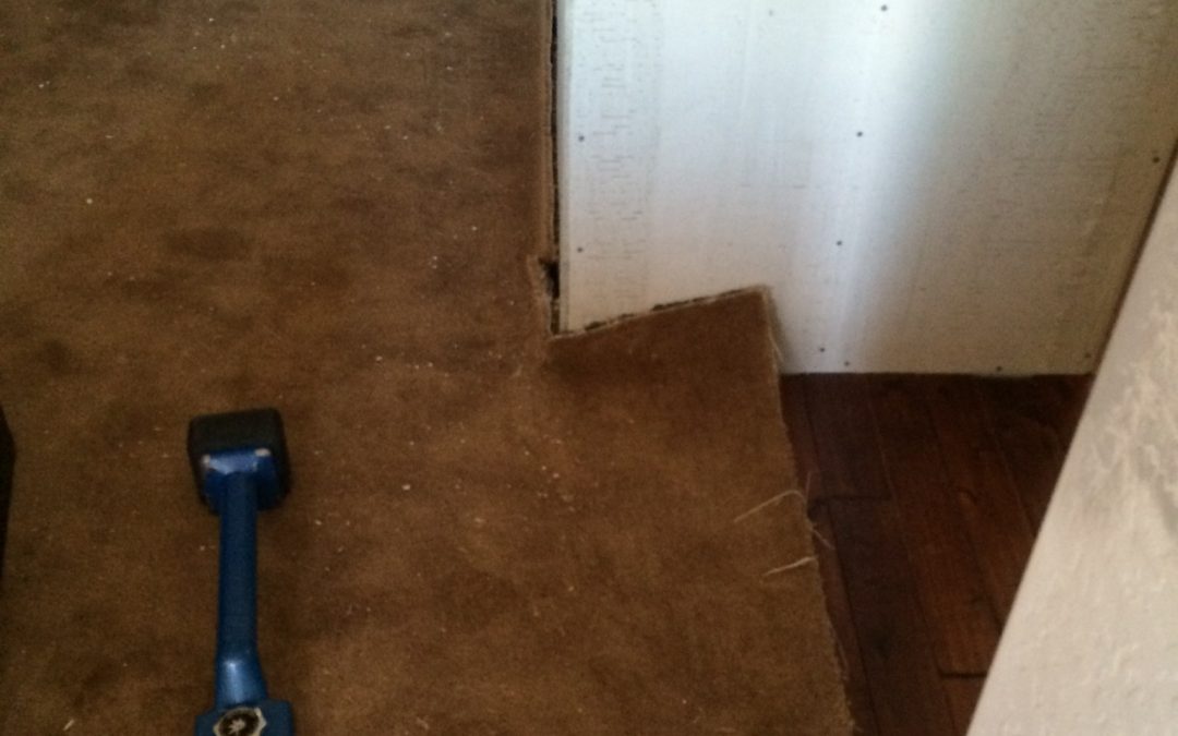 Certified Carpet Repair Specialists in Peoria, Az