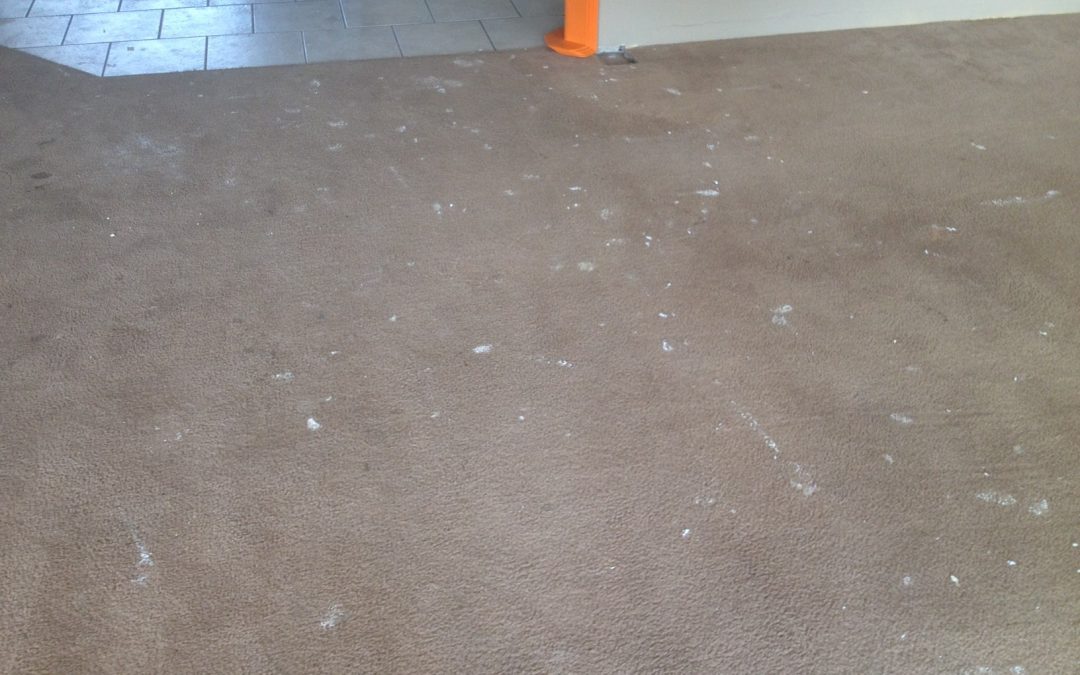 Drywall Mess on the Carpet in Phoenix