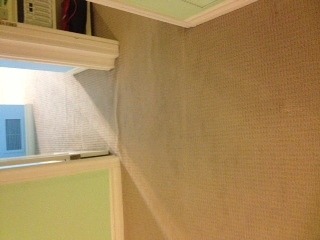 Carpet Cleaning in Tempe, Az