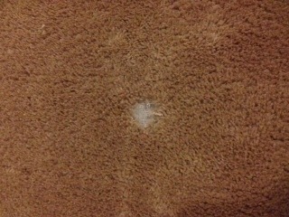 Same Day Certified Carpet Repair Phoenix, AZ