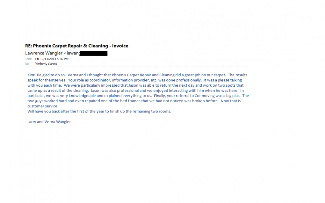 Customer Review via email