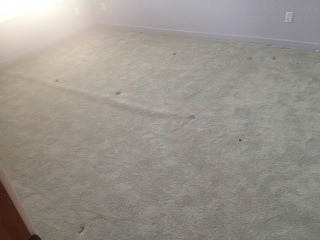 Carpet Ripples Phoenix, Az