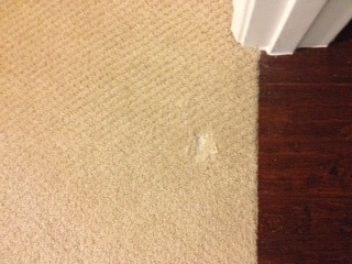 My Carpet has a Hole in it!