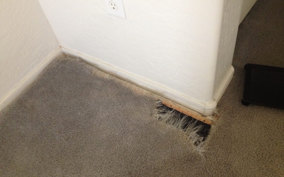 Best Carpet Repair in Phoenix, Az
