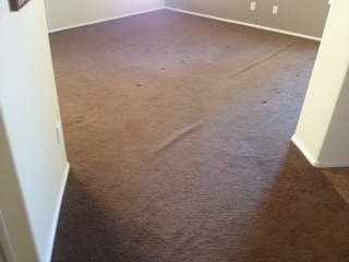 Carpet cleaning and stretching in Maricopa, Az
