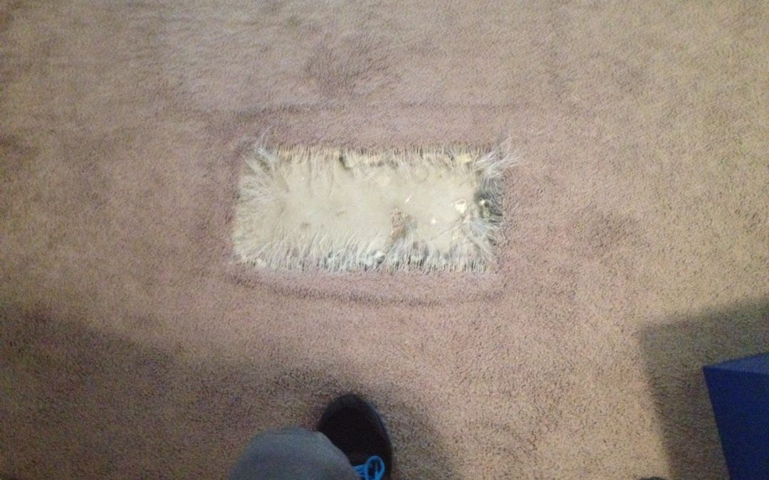 Carpet Cleaning Phoenix, Az