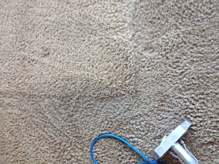 Carpet Cleaners in Phoenix, Az