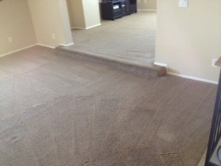 Cleaning Carpets in Phoenix
