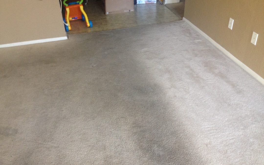 Amazing Carpet Cleaning and Repair in Phoenix! LOOK!