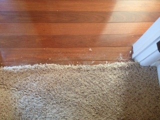 Transition to Wood Carpet Repair