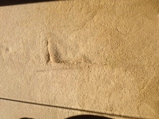 Carpet Damage there, then Carpet damage gone!