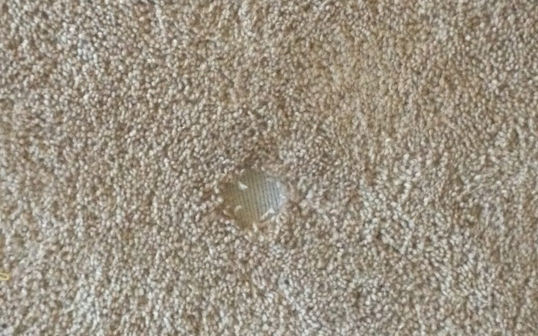Mesa Carpet Repair WOW!