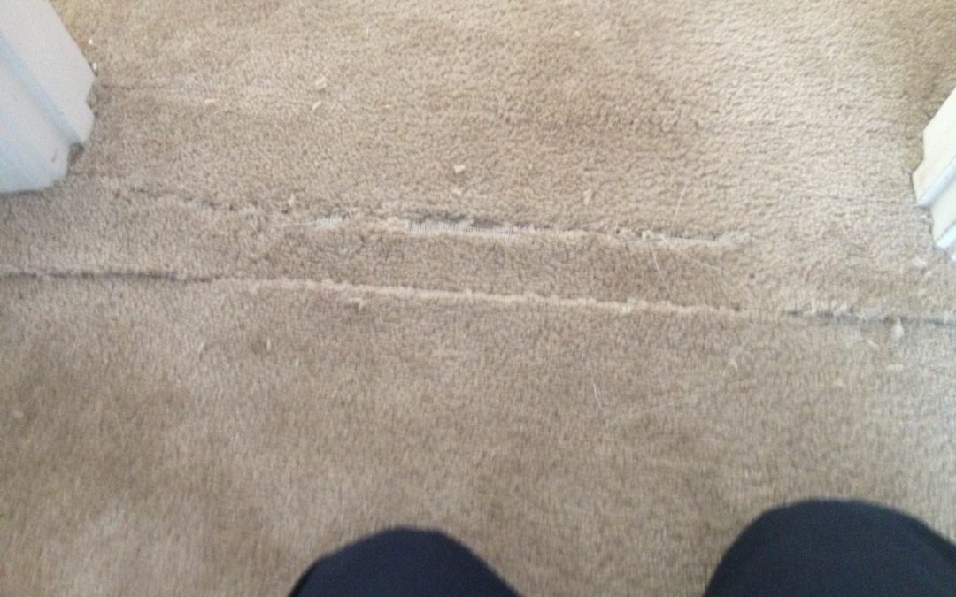 Surprise Carpet Repair