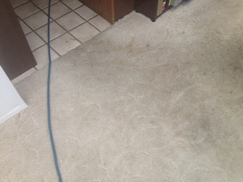 Carpet cleaners in Phoenix, Az