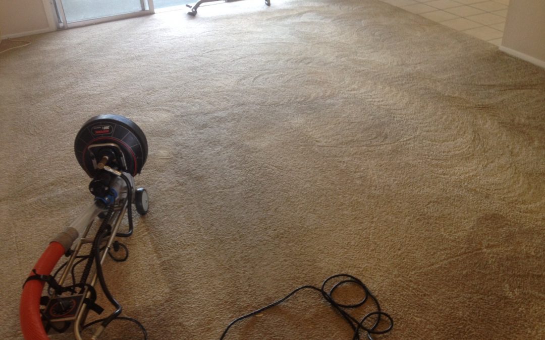 Phoenix carpet cleaning with Roto Vac