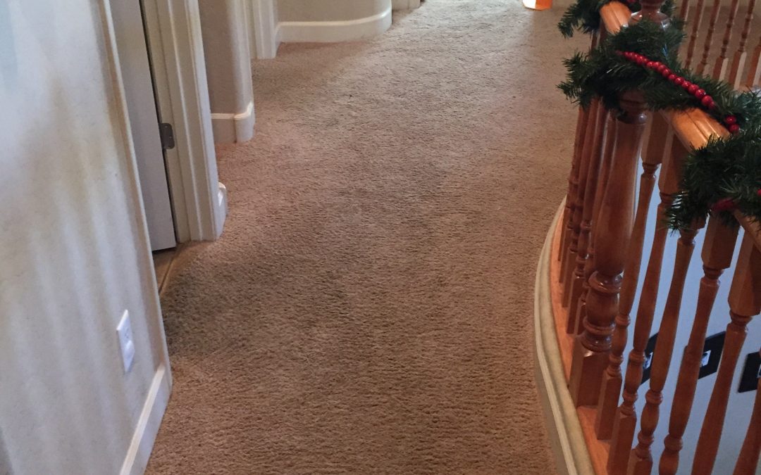 Gilbert Carpet Cleaning (2) Phoenix Carpet Repair