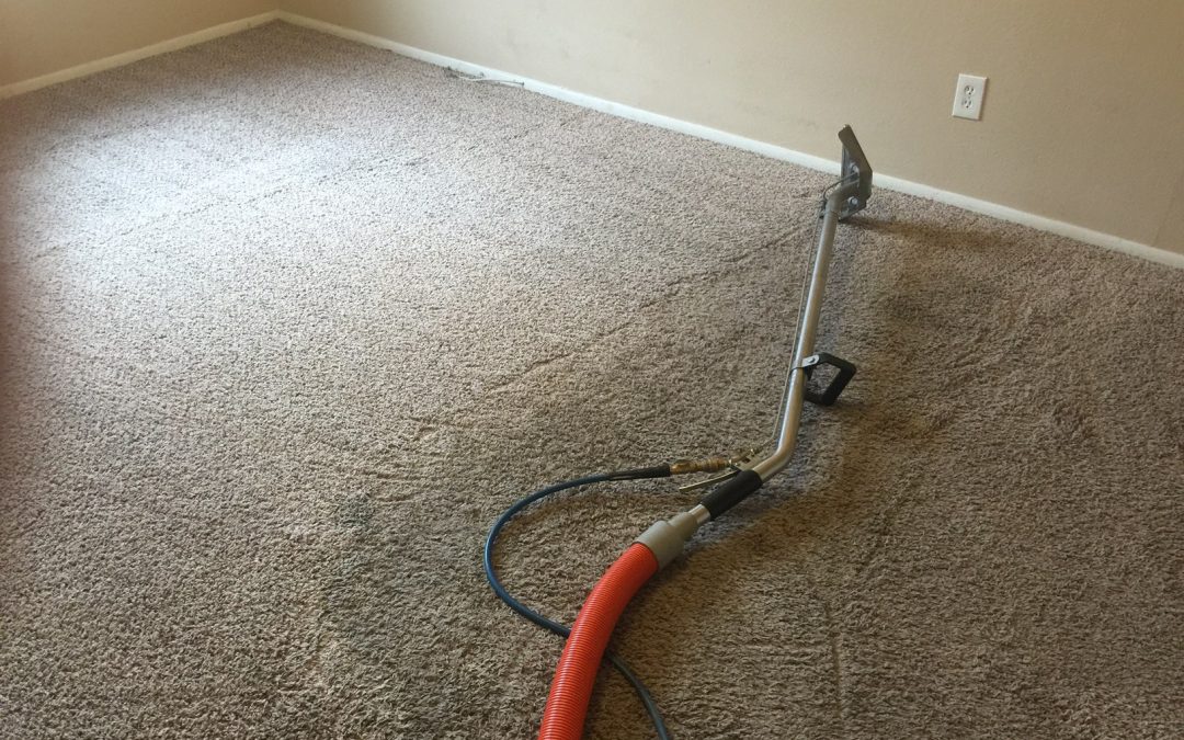 Phoenix Carpet Cleaning Phoenix Carpet Repair