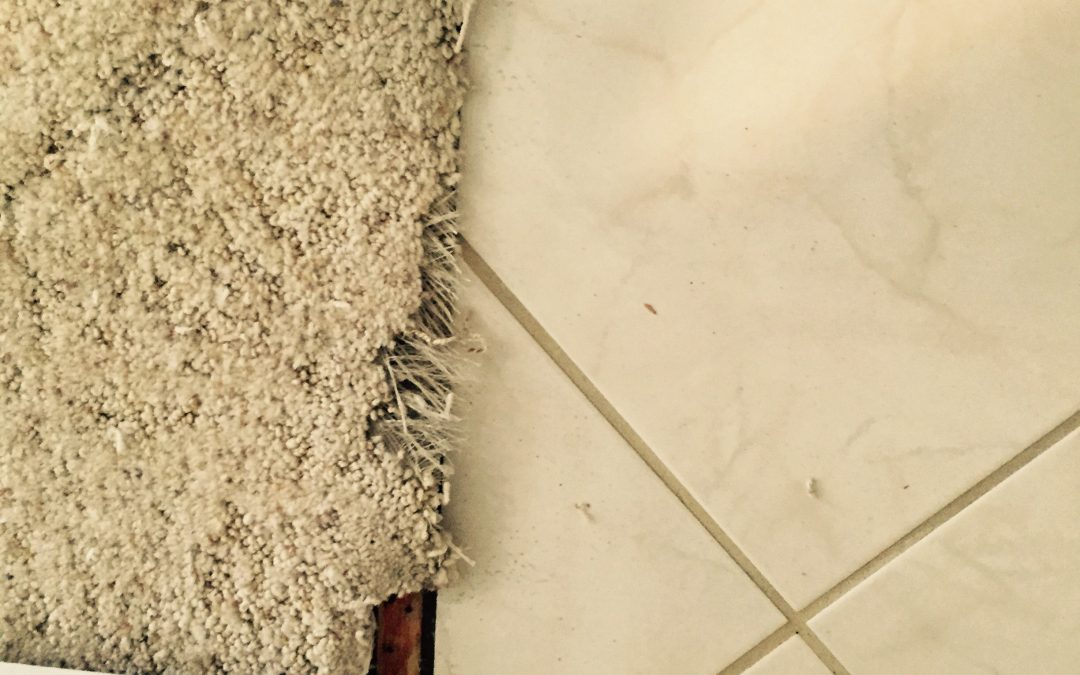 Phoenix Carpet Repair (2) Phoenix Carpet Repair