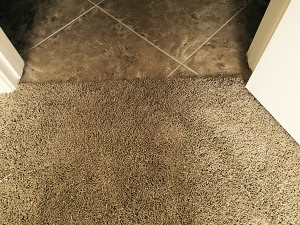 Waddell Carpet Repair by tile