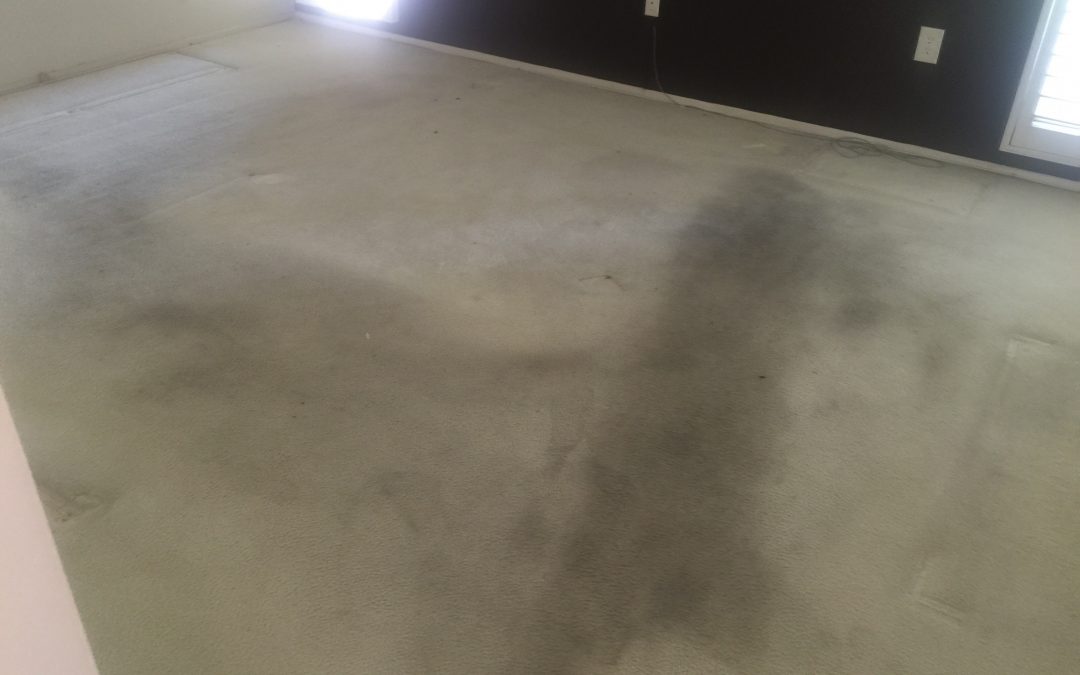 Carpet Cleaning in Goodyear