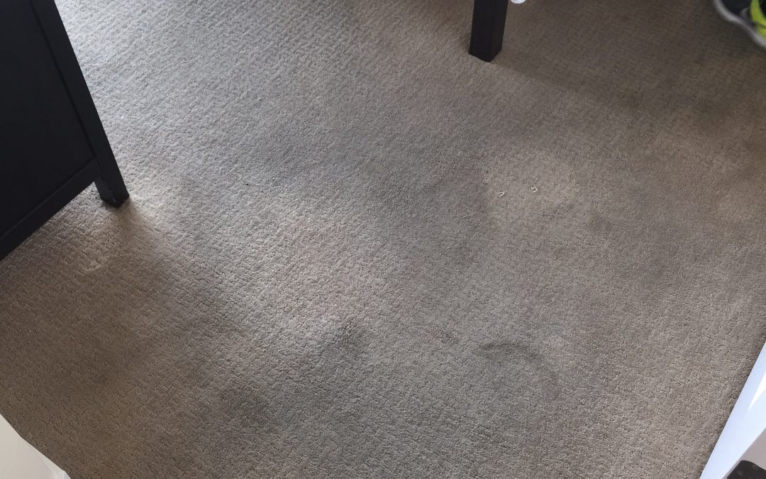 How To Clean Dirty Carpet?
