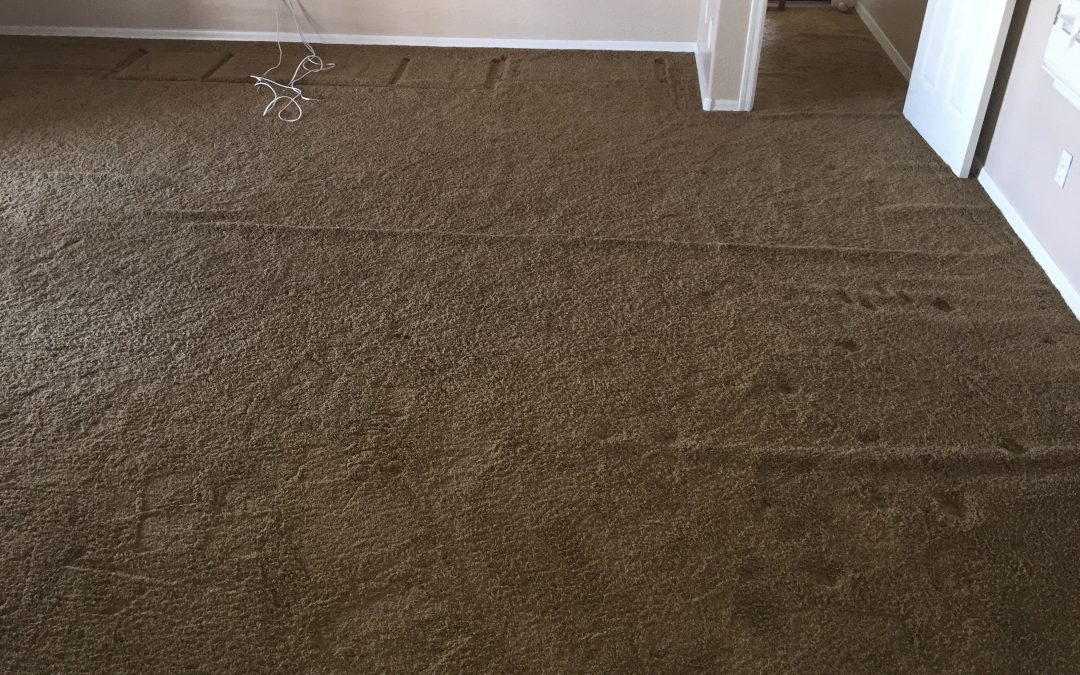 Carpet Re-Stretching Phoenix