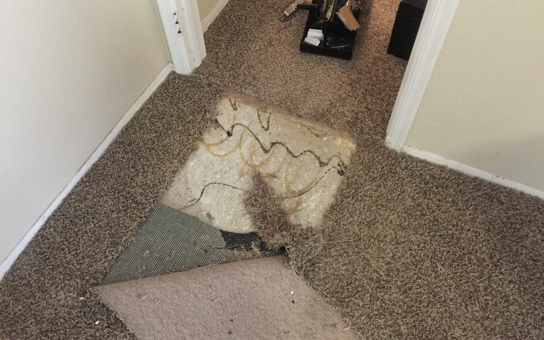 Pet Damaged Carpet in Doorway