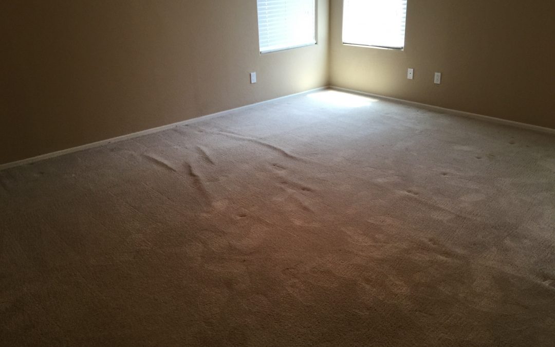 Restretching Carpets in Queen Creek