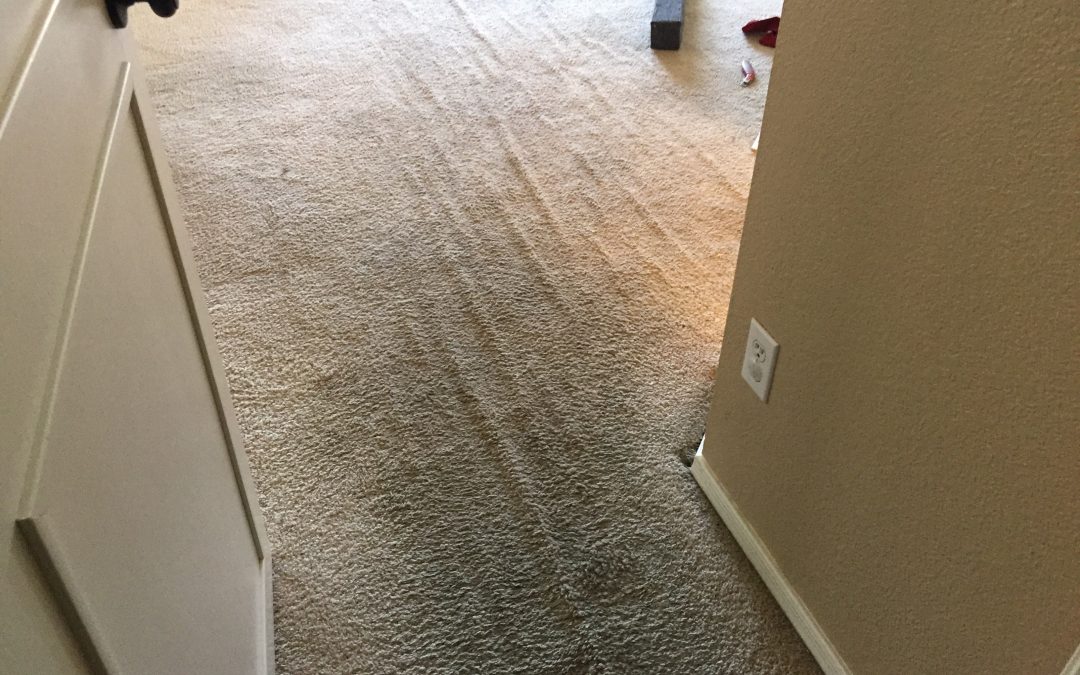 North Phoenix: Carpet Stretching
