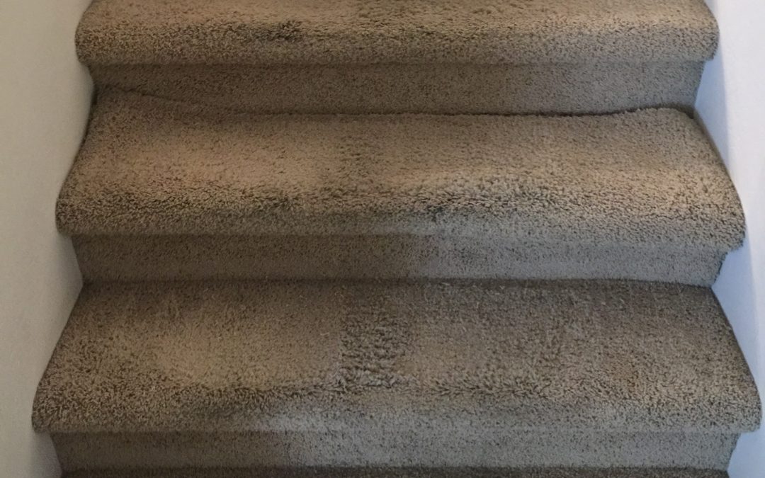 Peoria Carpet Installation on Stairs