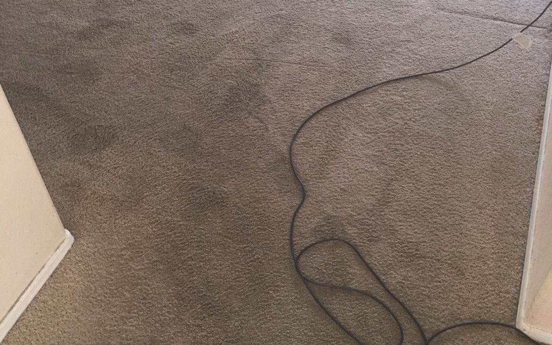 Restorative Carpet Cleaning in Scottsdale