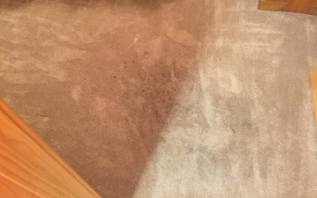 Fingerprint Dust: Carpet Cleaning Tolleson, AZ
