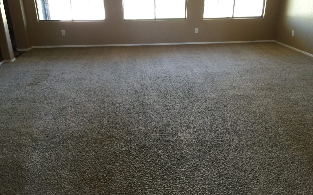 Cave Creek Carpet Cleaning