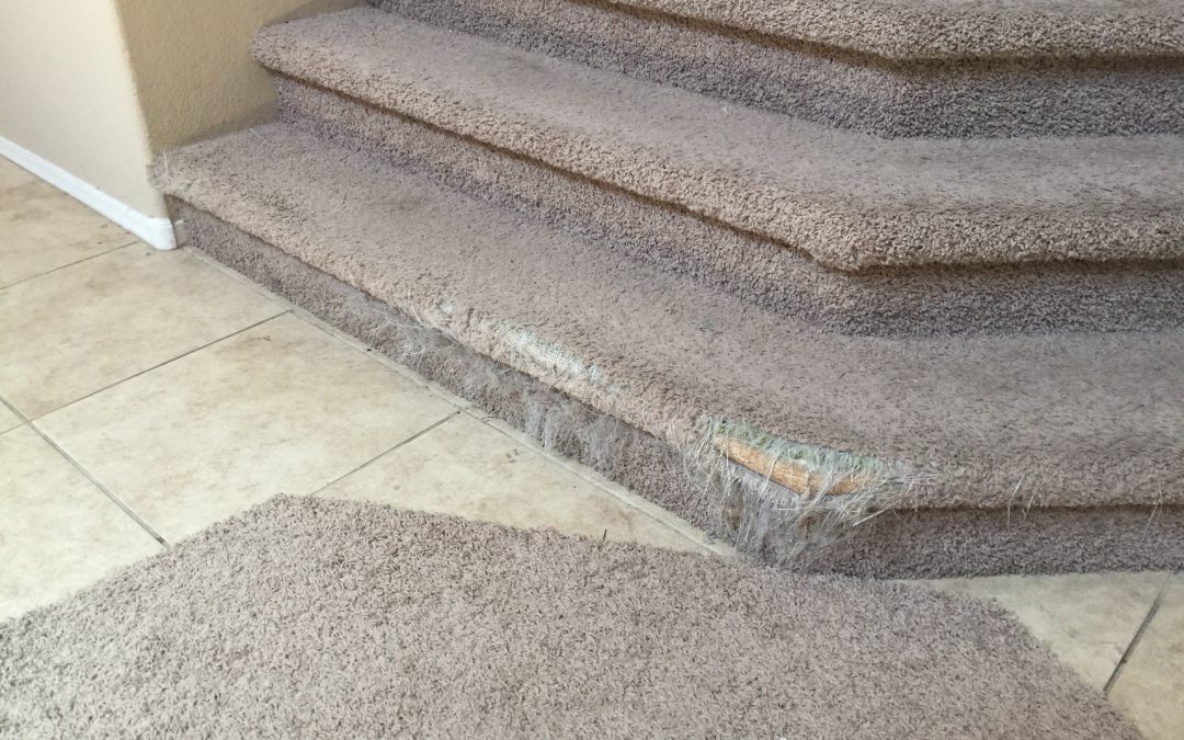 Gilbert, AZ: Carpet Repair on Stairs