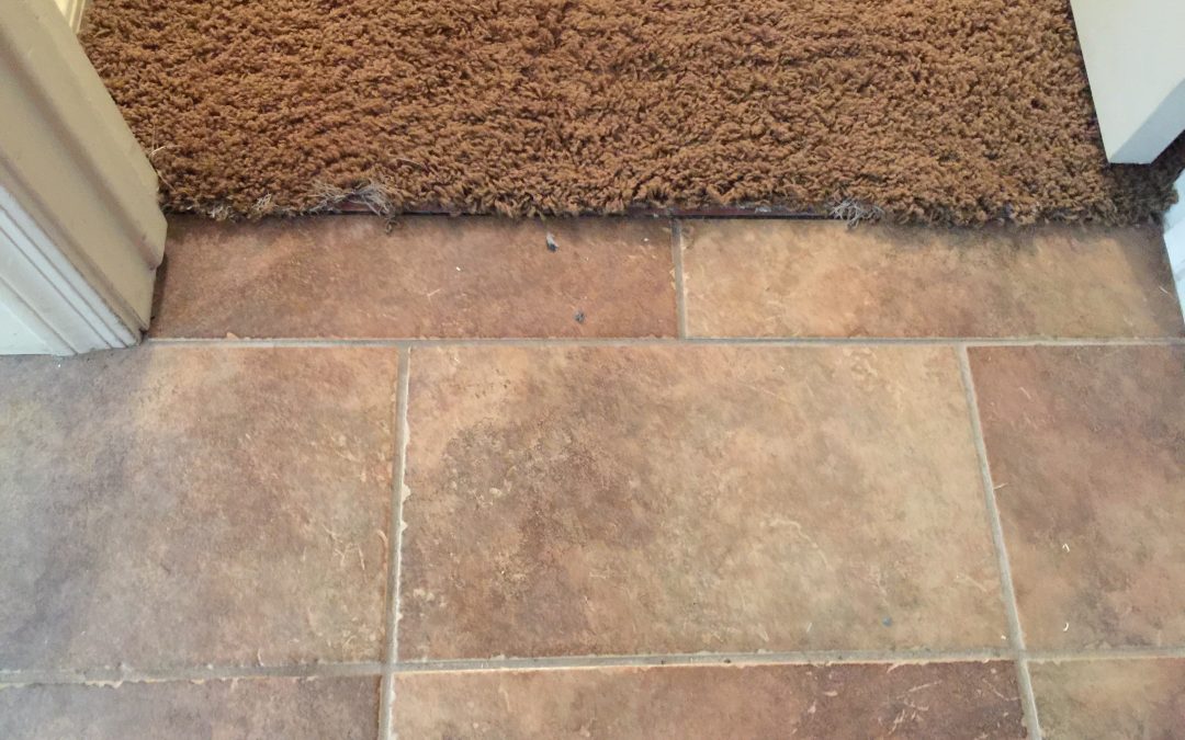Tile Transitions In Gilbert Az, How To Transition Carpet And Tile