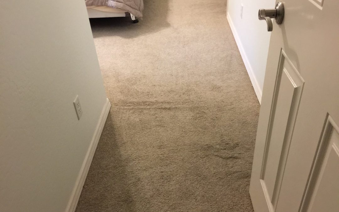 Power Stretching Carpet in Litchfield Park