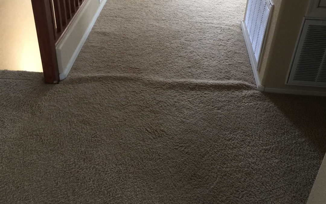 Carpet Repair: Stretching Carpets in Surprise, AZ