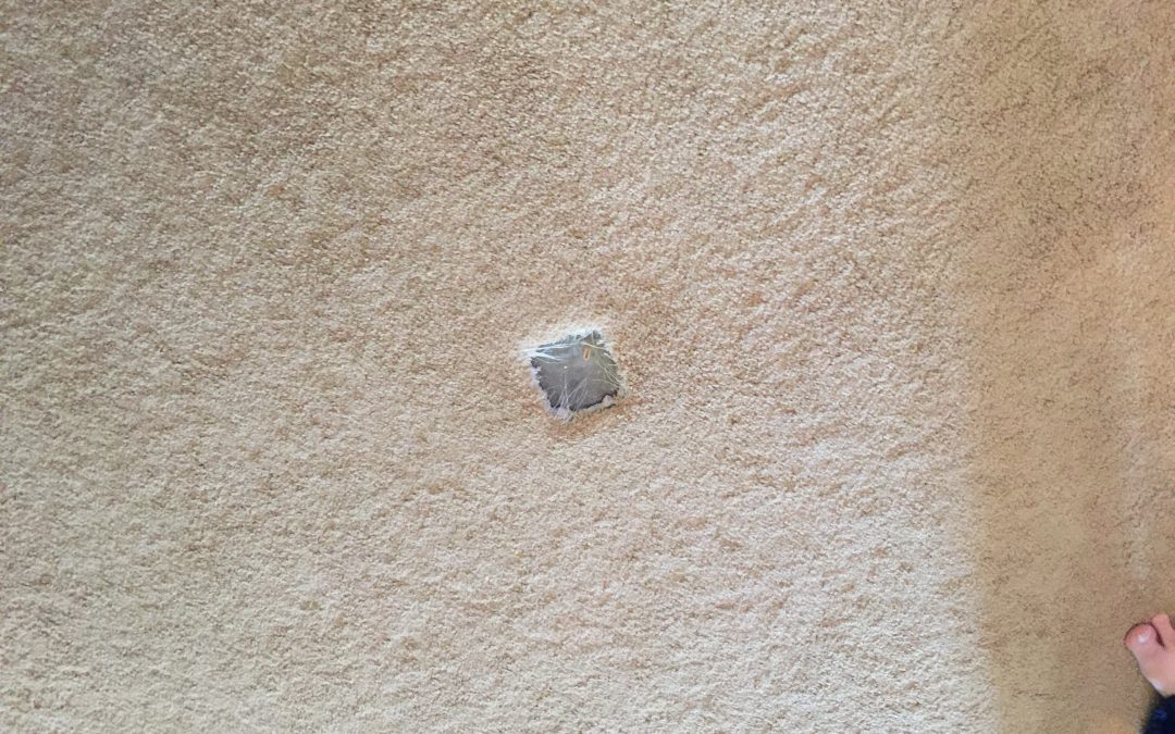 Pet Damage: Carpet Repair in Buckeye, AZ