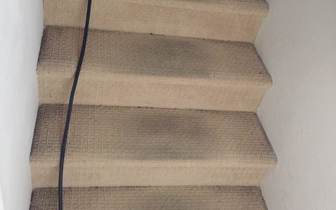 Cleaning Carpet on Staircase in Phoenix, AZ