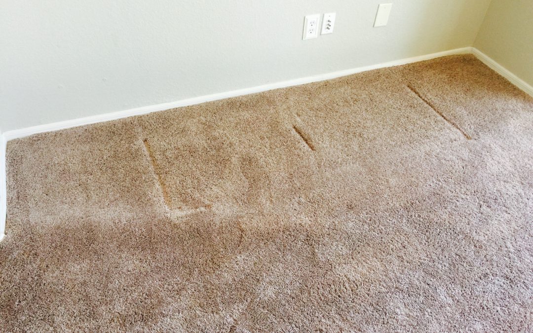 West Valley Carpet Stretching Professionals