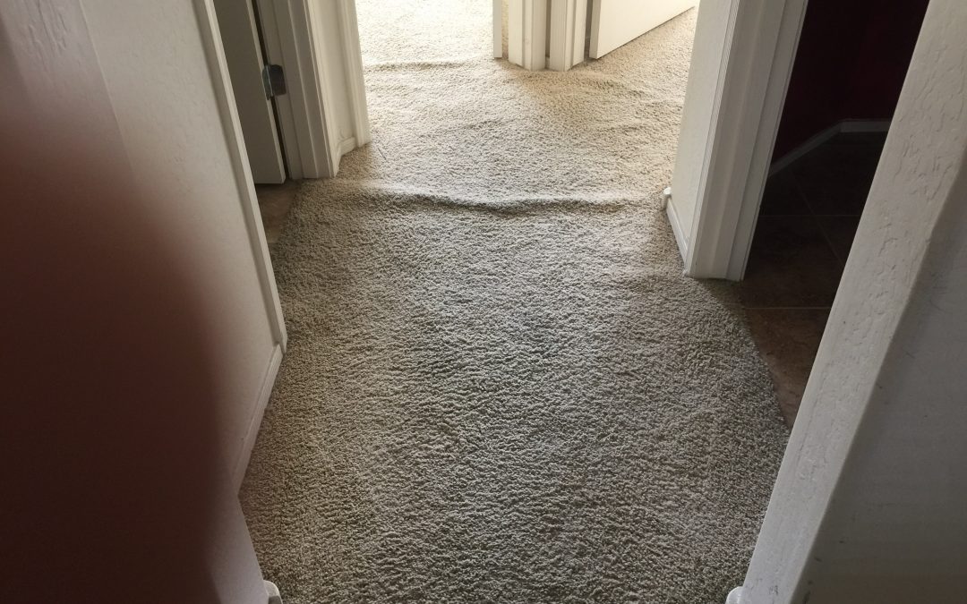 Peoria, Az Carpet Re-stretching in a Hallway