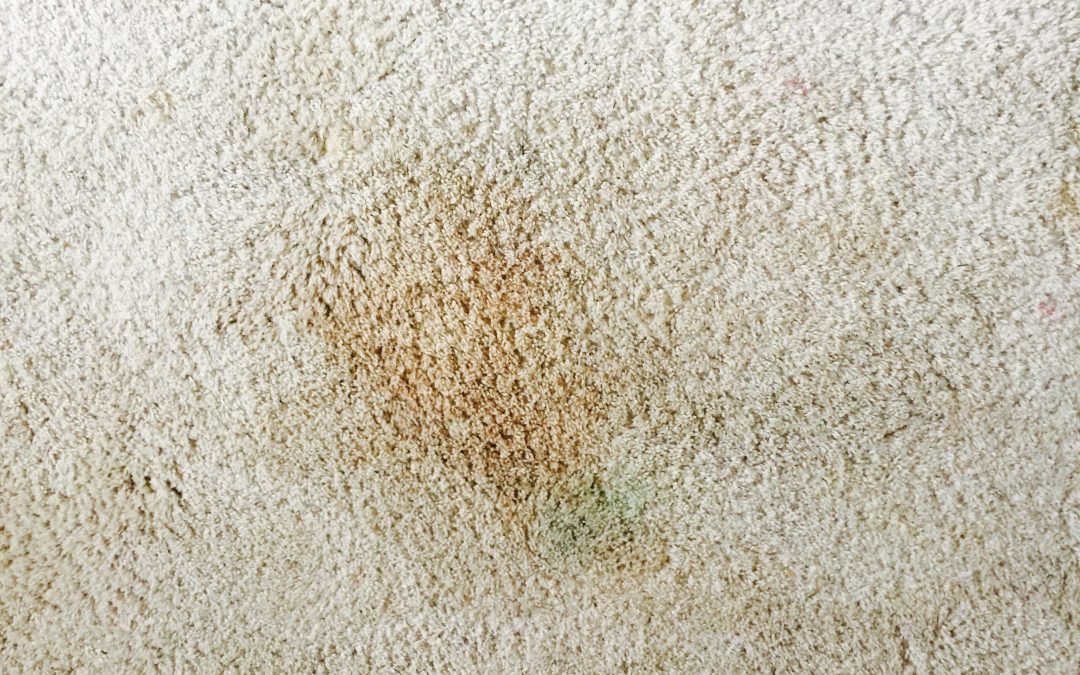 Tough Stains: Carpet Repair in Mesa