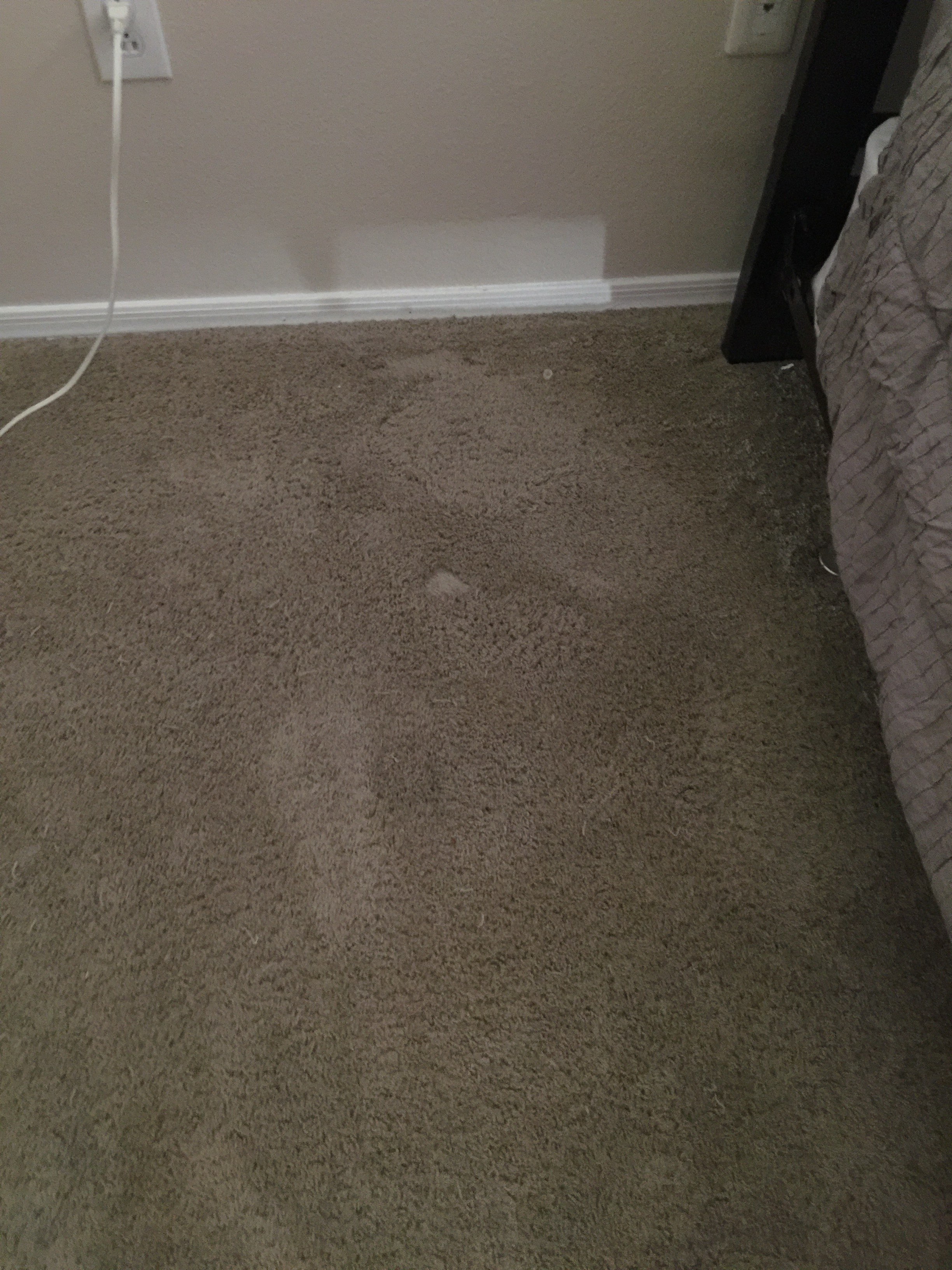 repair-carpet-burn-marks-carpet-vidalondon