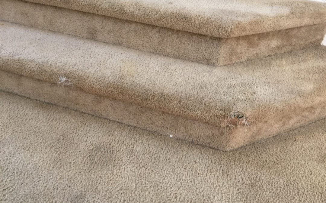 Carpet Repair on Staircase in Avondale, AZ