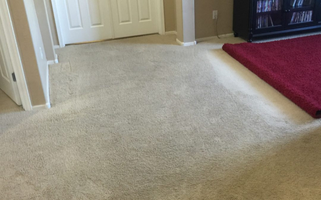 Goodyear, AZ: Carpet Cleaning in West Valley