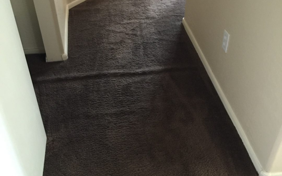 Stretching Carpet in the Hallway