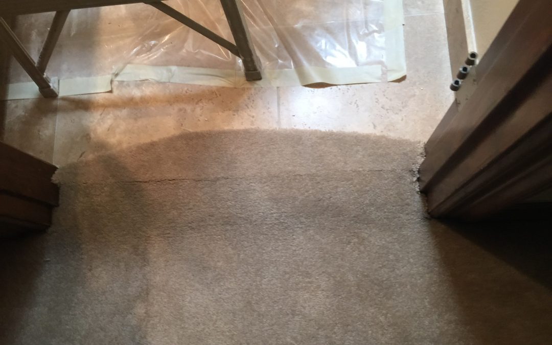Carpet Repair: Carpet to Tile Transition in Scottsdale, AZ