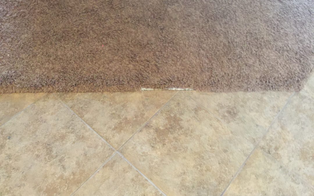 Pet Damage: Carpet Repair in the East Valley