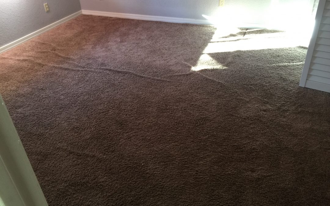 Power Stretching Carpet in Phoenix, AZ