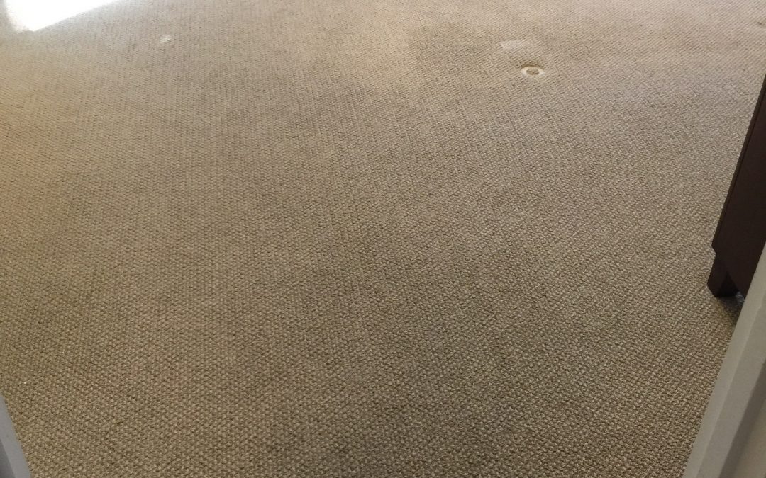 Cleaning Carpet in Surprise, AZ